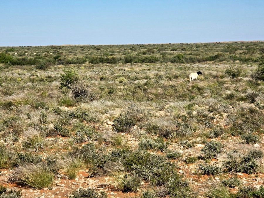 Commercial Property for Sale in Upington Rural Northern Cape